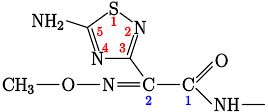 Cefozoprán előtag-7.svg