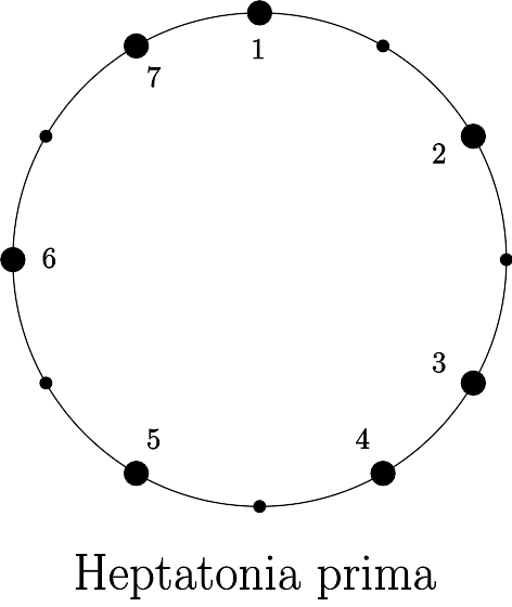 Heptatonia prima.svg