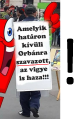 Vidd haza o1g-t.png