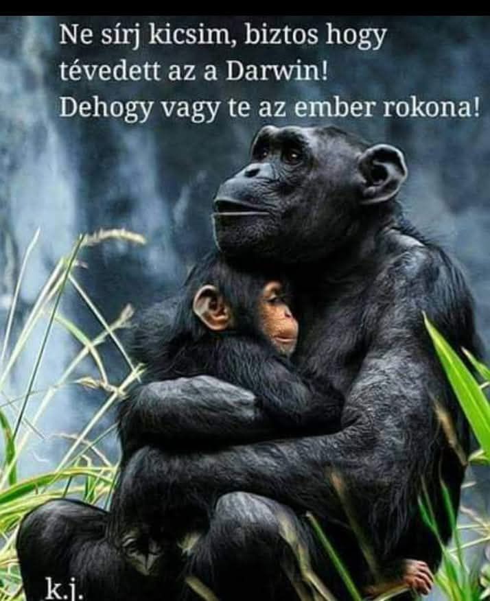 Darwin