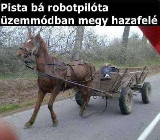 Robotpilóta